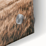 Farmhouse Wall Art of Wheat Field and Sky - Rustic Country Style Decor