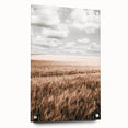 Farmhouse Wall Art of Wheat Field and Sky - Rustic Country Style Decor