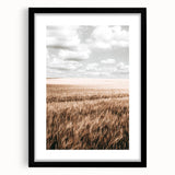 Farmhouse Wall Art of Wheat Field and Sky - Rustic Country Style Decor