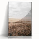 Farmhouse Wall Art of Wheat Field and Sky - Rustic Country Style Decor