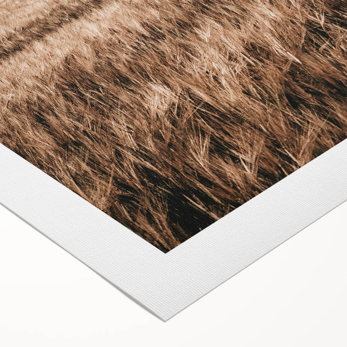Farmhouse Wall Art of Wheat Field and Sky - Rustic Country Style Decor