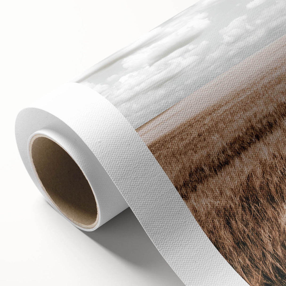 Farmhouse Wall Art of Wheat Field and Sky - Rustic Country Style Decor