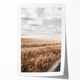 Farmhouse Wall Art of Wheat Field and Sky - Rustic Country Style Decor