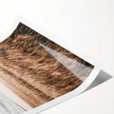 Farmhouse Wall Art of Wheat Field and Sky - Rustic Country Style Decor