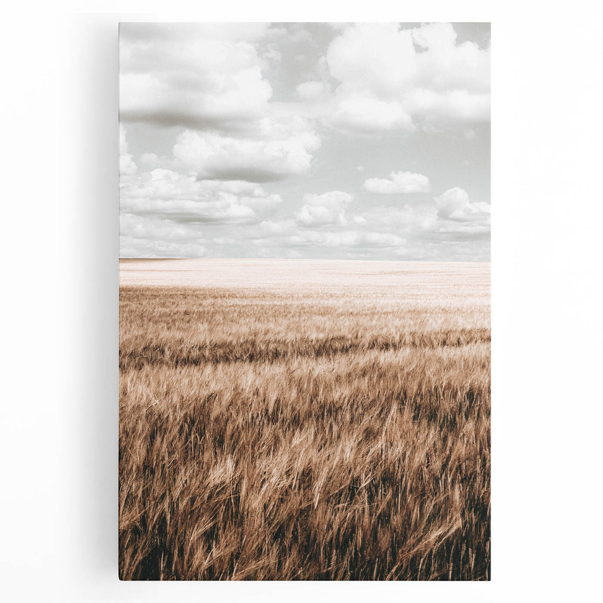 Farmhouse Wall Art of Wheat Field and Sky - Rustic Country Style Decor