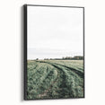 Farmhouse Wall Art of Lush Green Field Path - Rustic Country Style Decor