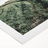 Farmhouse Wall Art of Lush Green Field Path - Rustic Country Style Decor