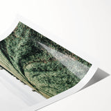 Farmhouse Wall Art of Lush Green Field Path - Rustic Country Style Decor