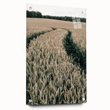 Farmhouse Wall Art of Wheat Field Path - Rustic Country Style Decor