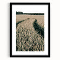Farmhouse Wall Art of Wheat Field Path - Rustic Country Style Decor