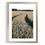 Farmhouse Wall Art of Wheat Field Path - Rustic Country Style Decor