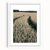 Farmhouse Wall Art of Wheat Field Path - Rustic Country Style Decor