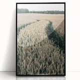 Farmhouse Wall Art of Wheat Field Path - Rustic Country Style Decor