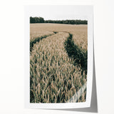 Farmhouse Wall Art of Wheat Field Path - Rustic Country Style Decor