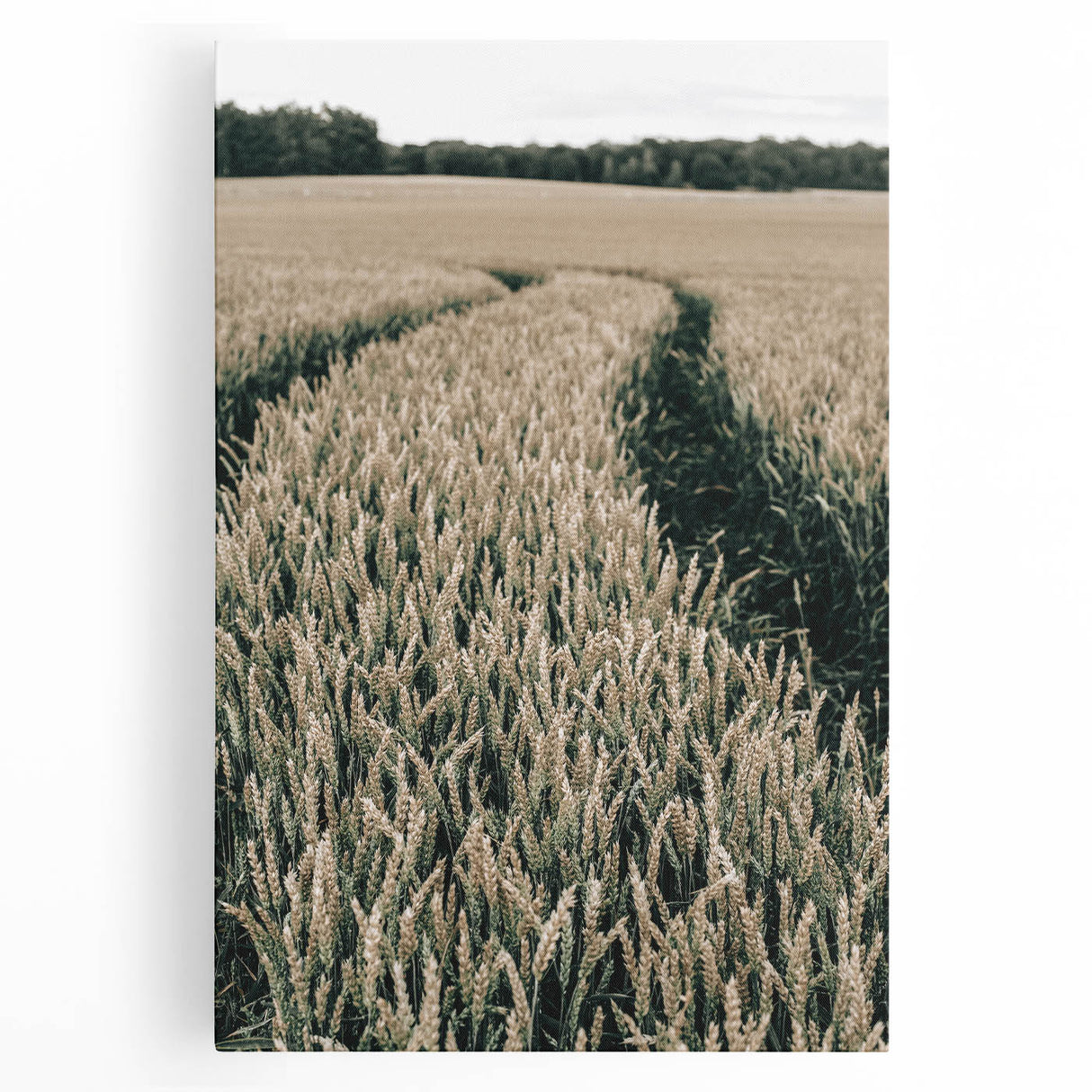 Farmhouse Wall Art of Wheat Field Path - Rustic Country Style Decor