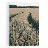 Farmhouse Wall Art of Wheat Field Path - Rustic Country Style Decor