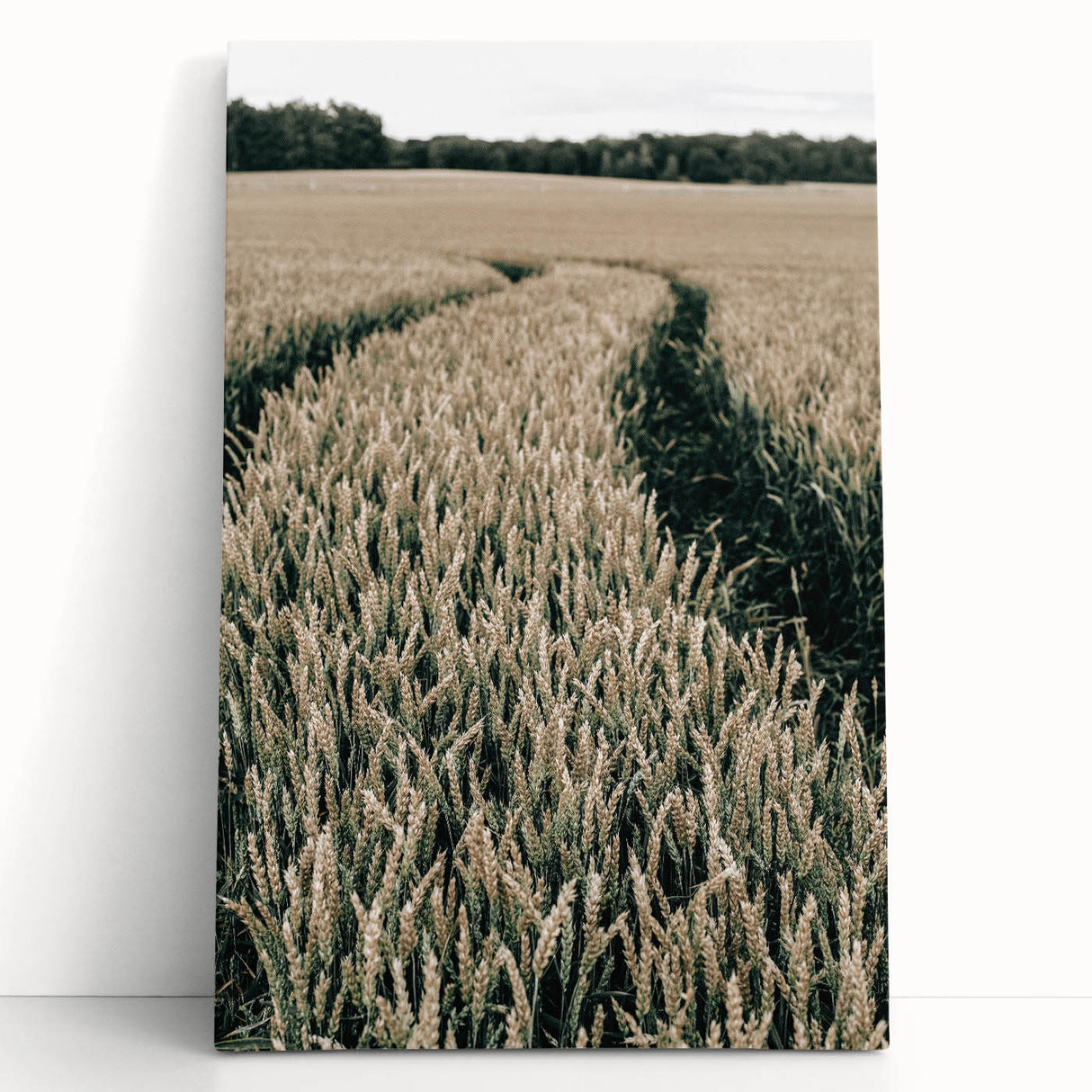Farmhouse Wall Art of Wheat Field Path - Rustic Country Style Decor