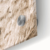 Golden Wheat Field Farmhouse Wall Art - Rustic Country Style Decor