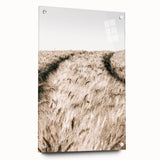 Golden Wheat Field Farmhouse Wall Art - Rustic Country Style Decor