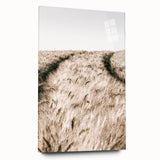 Golden Wheat Field Farmhouse Wall Art - Rustic Country Style Decor