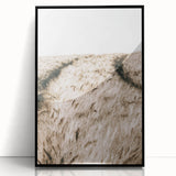 Golden Wheat Field Farmhouse Wall Art - Rustic Country Style Decor