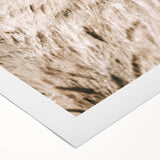 Golden Wheat Field Farmhouse Wall Art - Rustic Country Style Decor