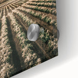 Farmhouse Wall Art of Scenic Crop Fields - Rustic Country Style Decor