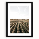 Farmhouse Wall Art of Scenic Crop Fields - Rustic Country Style Decor