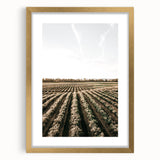 Farmhouse Wall Art of Scenic Crop Fields - Rustic Country Style Decor