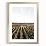 Farmhouse Wall Art of Scenic Crop Fields - Rustic Country Style Decor