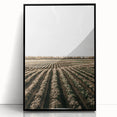 Farmhouse Wall Art of Scenic Crop Fields - Rustic Country Style Decor