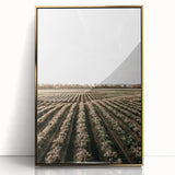 Farmhouse Wall Art of Scenic Crop Fields - Rustic Country Style Decor