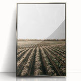 Farmhouse Wall Art of Scenic Crop Fields - Rustic Country Style Decor