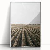 Farmhouse Wall Art of Scenic Crop Fields - Rustic Country Style Decor