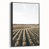 Farmhouse Wall Art of Scenic Crop Fields - Rustic Country Style Decor