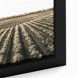 Farmhouse Wall Art of Scenic Crop Fields - Rustic Country Style Decor