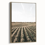Farmhouse Wall Art of Scenic Crop Fields - Rustic Country Style Decor