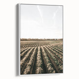 Farmhouse Wall Art of Scenic Crop Fields - Rustic Country Style Decor