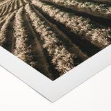 Farmhouse Wall Art of Scenic Crop Fields - Rustic Country Style Decor