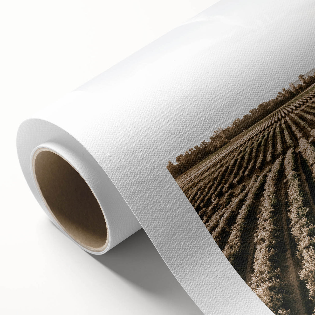 Farmhouse Wall Art of Scenic Crop Fields - Rustic Country Style Decor