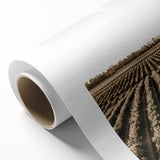 Farmhouse Wall Art of Scenic Crop Fields - Rustic Country Style Decor