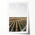 Farmhouse Wall Art of Scenic Crop Fields - Rustic Country Style Decor