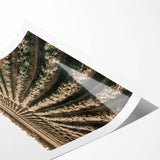 Farmhouse Wall Art of Scenic Crop Fields - Rustic Country Style Decor