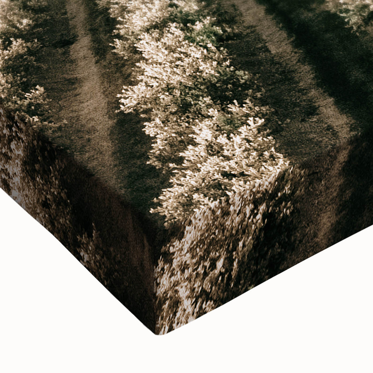 Farmhouse Wall Art of Scenic Crop Fields - Rustic Country Style Decor