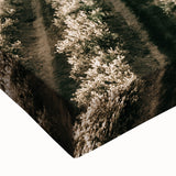 Farmhouse Wall Art of Scenic Crop Fields - Rustic Country Style Decor