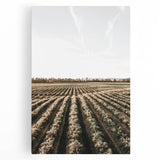 Farmhouse Wall Art of Scenic Crop Fields - Rustic Country Style Decor