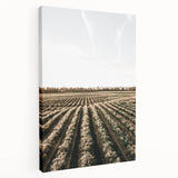 Farmhouse Wall Art of Scenic Crop Fields - Rustic Country Style Decor
