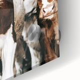 Farmhouse Wall Art of Calves in Barn - Rustic Country Style Decor