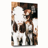 Farmhouse Wall Art of Calves in Barn - Rustic Country Style Decor