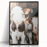 Farmhouse Wall Art of Calves in Barn - Rustic Country Style Decor